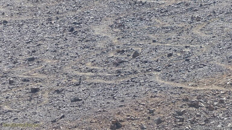 pampa colorada 019